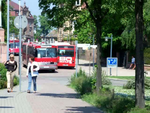 Ein Setra SG 180 und ein BRN O307 in Speyer. . Die Busse nahmen an der Ausfahrt des Busoldtimertreffs von Sinsheim nach Speyer und anschlieend wieder nach Sinsheim teil. Organisiert wurde das treffen von den Technik Museen Sinsheim und Speyer.