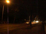 Solaris-Gelenkbus auf der Linie ...  Alex 29.03.2010