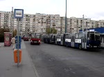 budapest/71/ein-ikarus-260-bei-der-endhaltestelle Ein Ikarus 260 bei der Endhaltestelle der M2 �rs vez�r tere. Aufgenommen am 20.10.2007