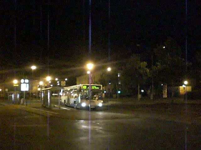 Mercedes-Eindecker auf der Linie N31 nach Bahnhof Werder am Potsdamer Hauptbahnhof.