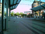 Das Video zeigt einen MAN Gelenkbus ( Erdgas) am Hauptbahnhof in Saarbrücken. Das Video wurde am 25.09.2009 aufgenommen.