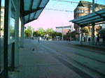 Das Video zeigt einen MAN Gelenkbus ( Erdgas) am Hauptbahnhof in Saarbrcken.