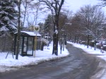 Ein MB Citaro auf der Linie 396 nach S Karlshorst. Wallensteinstrae, 2.1.2010