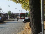 Der Cottbusverkehr Bus 245 fährt am 8.10.08 zu seinem Ruheplatz in der Karl-Liebknecht-Straße vom alten Stadtbahnhof .